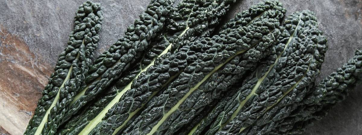 7 Ricette per cucinare il cavolo nero - Saporie