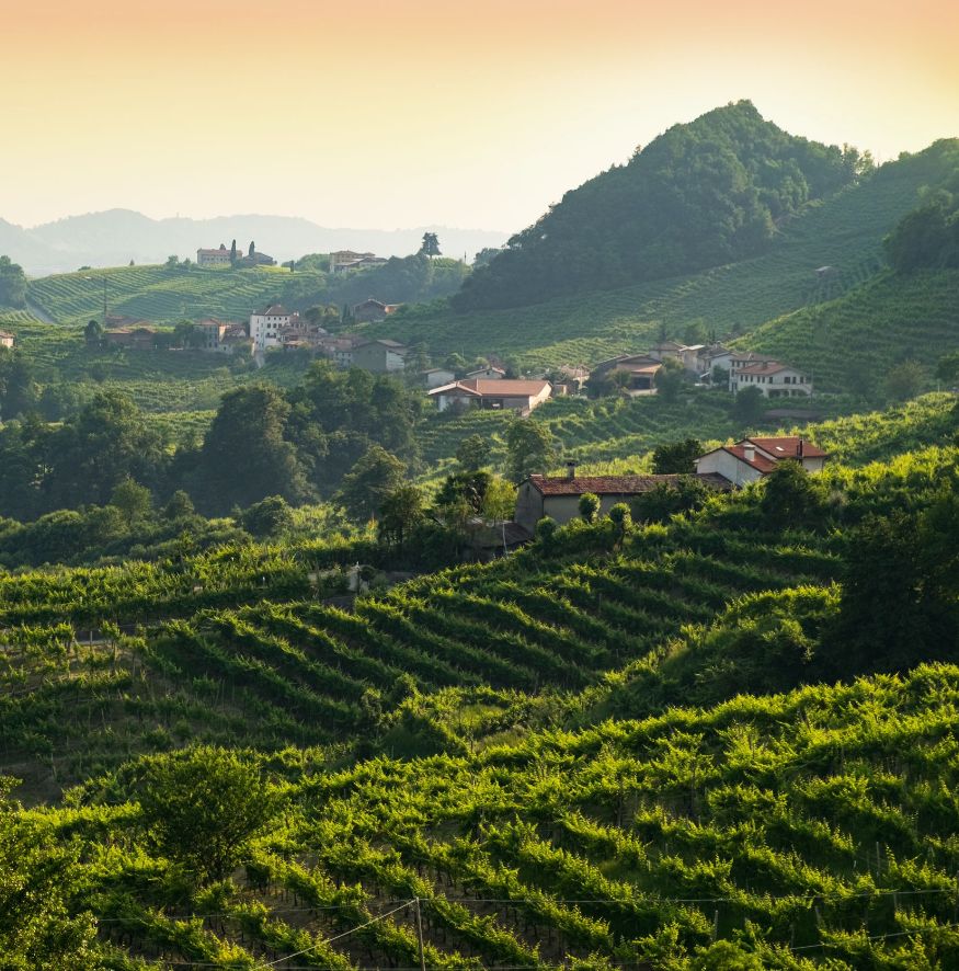 Il paradiso enogastronomico di Conegliano e Valdobbiadene - Saporie